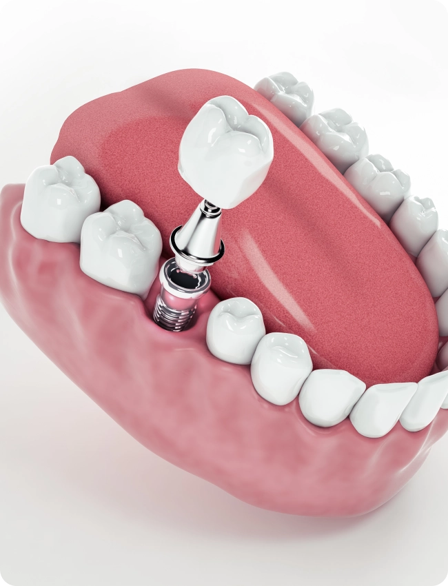 YouMedical Odontoiatria Odontoiatria